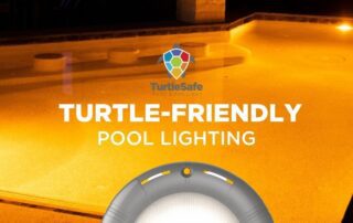 turtle-friendly pool lighting