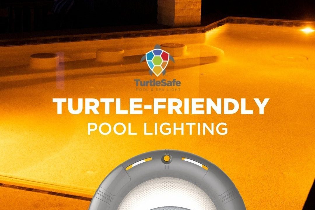 turtle-friendly pool lighting