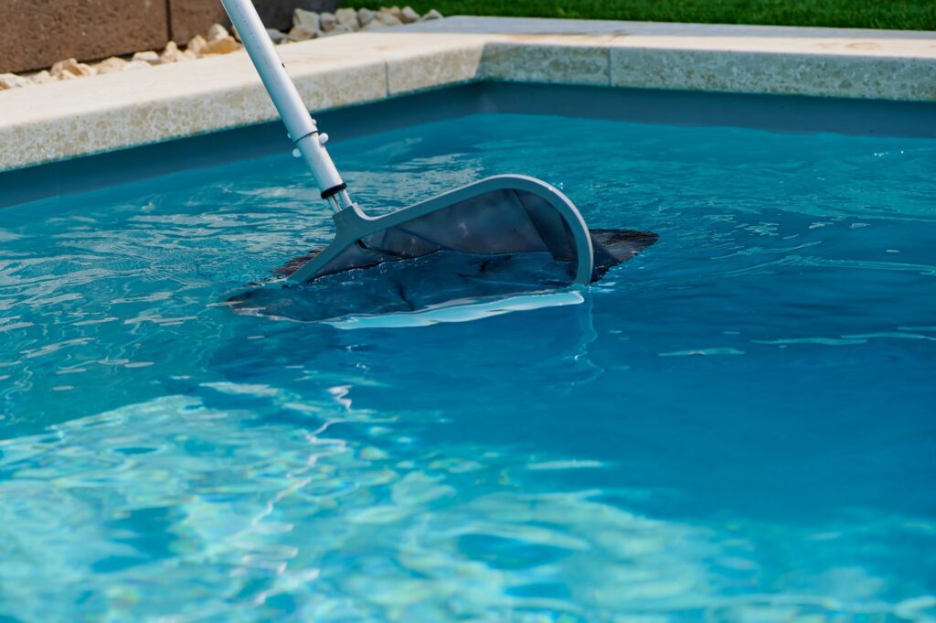 cleaning a pool with small debris