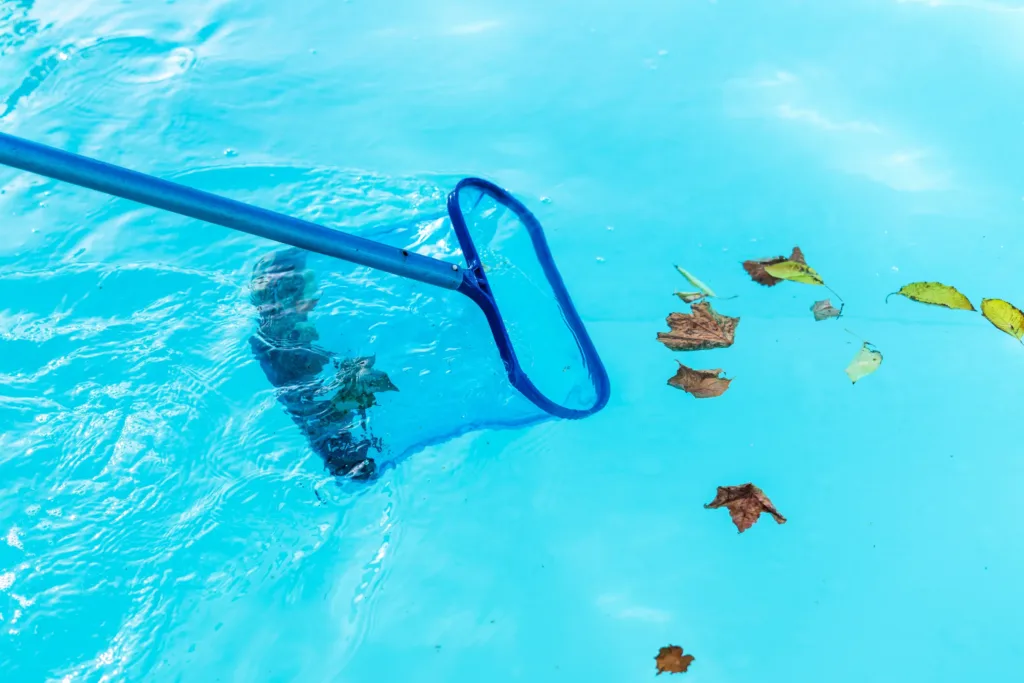 swimming pool being skimmed